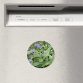 Cornbloemen Magnet (Insitu (Vaatwasser))