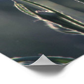 Cornbloemen Summer Evening Meadow Poster (Hoek)