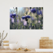 Cornbloemen Summer Evening Meadow Poster (Keuken)