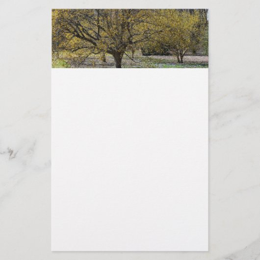 Cornelian Cherry Dogwood and Glory of the Snow Briefpapier (Voorkant)