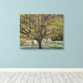 Cornelian Cherry Dogwood and Glory of the Snow Canvas Afdruk (Insitu (Houten vloer))