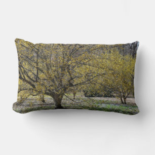 Cornelian Cherry Dogwood and Glory of the Snow Kussen