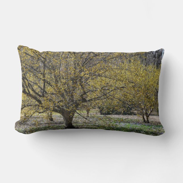Cornelian Cherry Dogwood and Glory of the Snow Kussen (Voorkant)