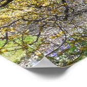 Cornelian Cherry Dogwood and Glory of the Snow Poster (Hoek)