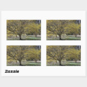 Cornelian Cherry Dogwood and Glory of the Snow Rechthoekige Sticker (Vel)