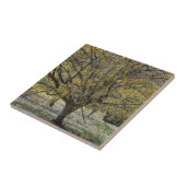 Cornelian Cherry Dogwood and Glory of the Snow Tegeltje (Zijkant)