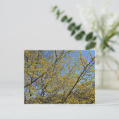 Cornelian Cherry Dogwood en Blue Sky Floral Briefkaart (Staand voorkant)