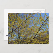 Cornelian Cherry Dogwood en Blue Sky Floral Briefkaart (Voorkant / Achterkant)
