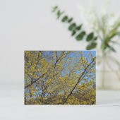 Cornelian Cherry Dogwood en Blue Sky Floral Briefkaart (Staand voorkant)