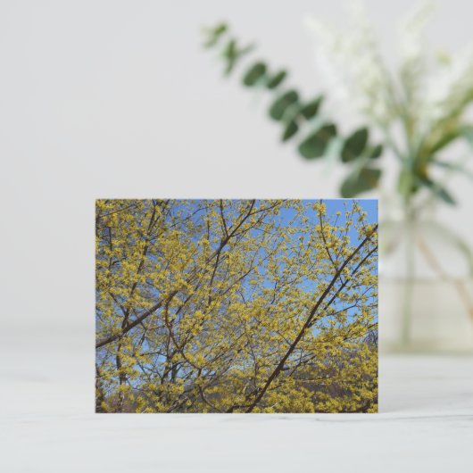 Cornelian Cherry Dogwood en Blue Sky Floral Briefkaart (Staand voorkant)
