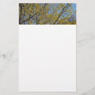 Cornelian Cherry Dogwood en Blue Sky Floral Briefpapier