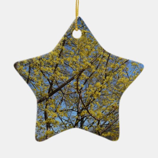 Cornelian Cherry Dogwood en Blue Sky Floral Keramisch Ornament (Voorkant)