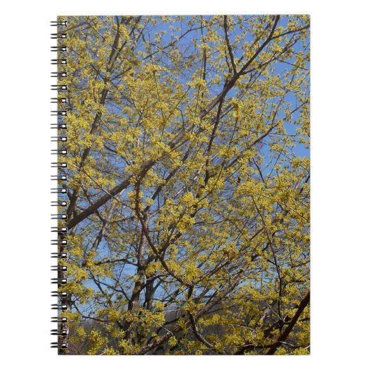 Cornelian Cherry Dogwood en Blue Sky Floral Notitieboek (Voorkant)