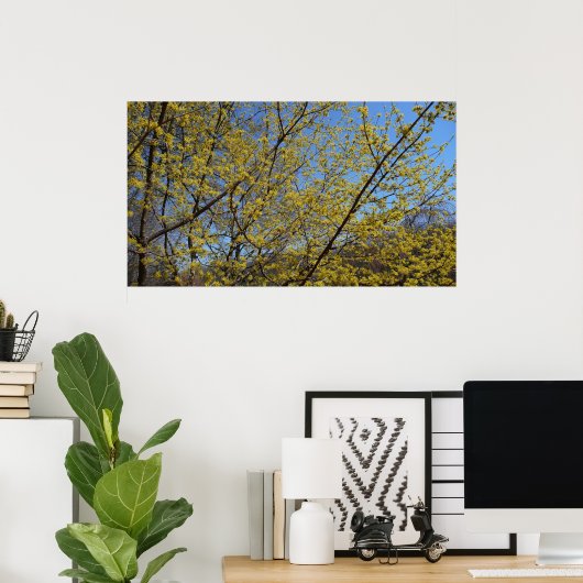 Cornelian Cherry Dogwood en Blue Sky Floral Poster (Thuiskantoor)