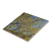 Cornelian Cherry Dogwood en Blue Sky Floral Tegeltje (Zijkant)