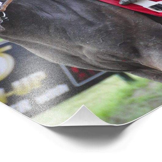 Cornelio Velasquez Foto Afdruk (Hoek)