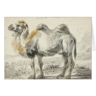 Cornelis Saftleven - A Camel
