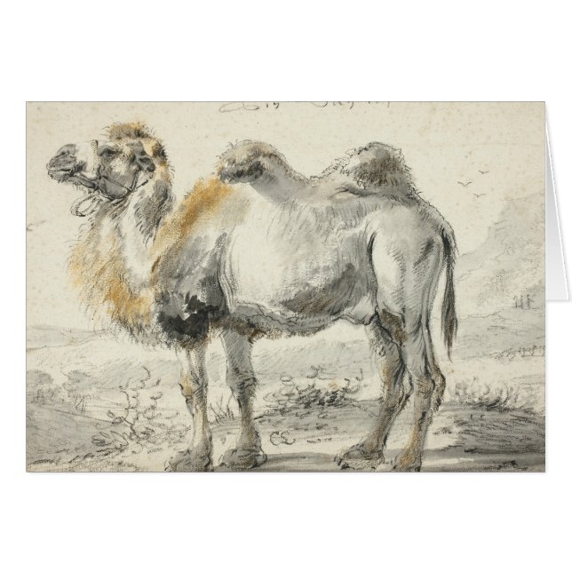Cornelis Saftleven - A Camel (Voorkant Horizontaal)