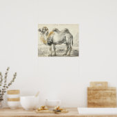 Cornelis Saftleven - A Camel Poster (Keuken)