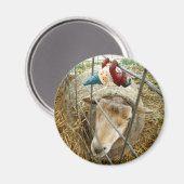 Cornelius en het Schaap Magneet (Voorkant / Achterkant)