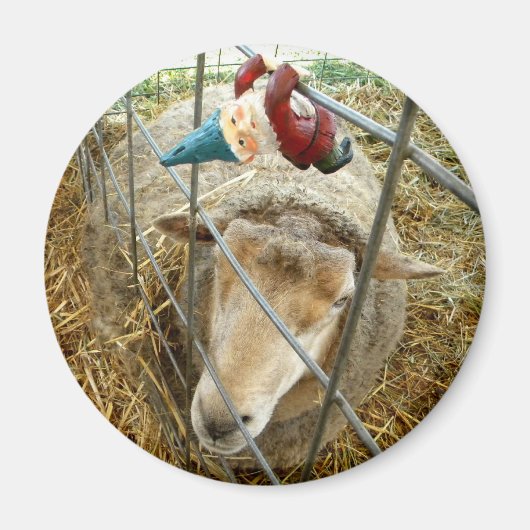 Cornelius en het Schaap Magneet (Voorkant)