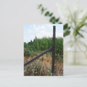 Cornfield achter het hek briefkaart (Staand voorkant)