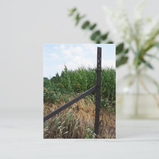 Cornfield achter het hek briefkaart (Staand voorkant)