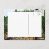 Cornfield achter het hek briefkaart (Achterkant)