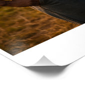 Cornfield at Sunset Perfect Poster (Hoek)