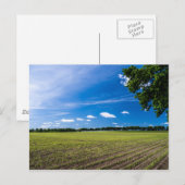 Cornfield in de zon briefkaart (Voorkant / Achterkant)