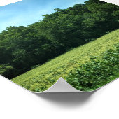 Cornfield in Rural North Carolina Poster (Hoek)