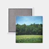 Cornfield in Rural North Carolina Poster Magneet (Voorkant / Achterkant)