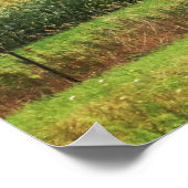 Cornfield Landschap met bomen op Horizon 16x20 Poster (Hoek)