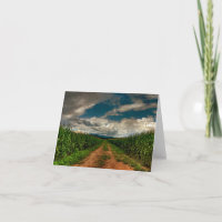 Cornfield Lege Notecard van de zomer