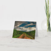 Cornfield Lege Notecard van de zomer Kaart (Voorkant)