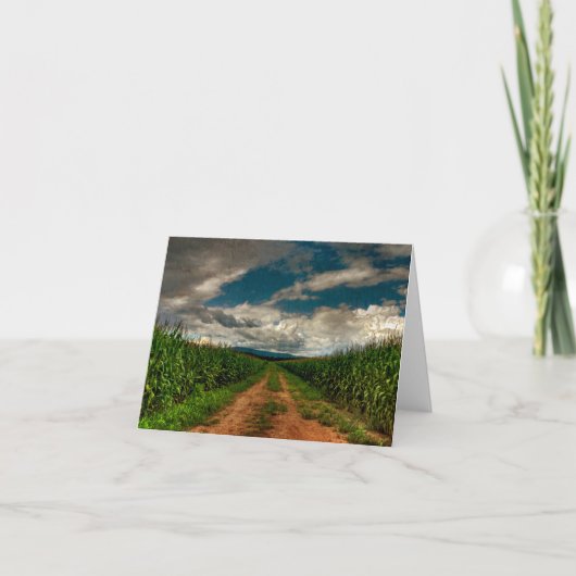 Cornfield Lege Notecard van de zomer Kaart (Voorkant)