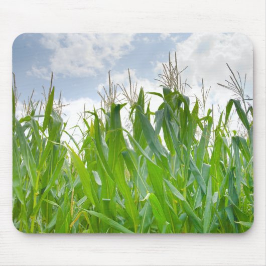 Cornfield mousepad muismat (Voorkant)