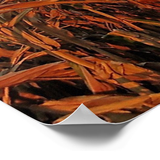 Cornfield Poster (Hoek)