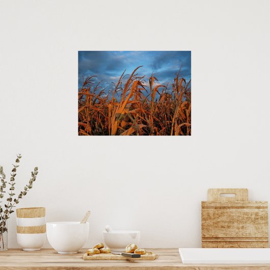 Cornfield Poster (Keuken)