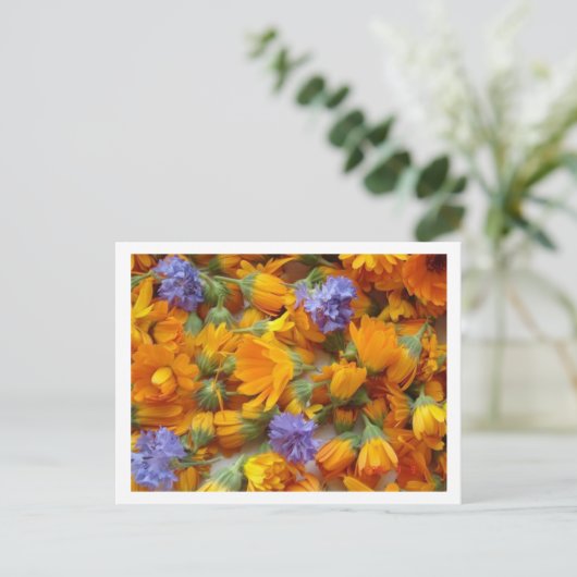cornflow en calendula briefkaart (Staand voorkant)