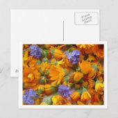 cornflow en calendula briefkaart (Voorkant / Achterkant)