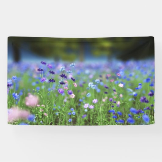 Cornflower Blue Banner (Horizontaal)