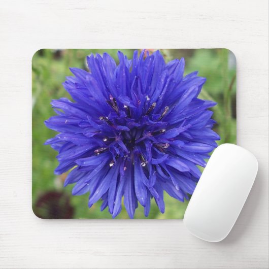 Cornflower Blue Boy Muismat (Met muis)