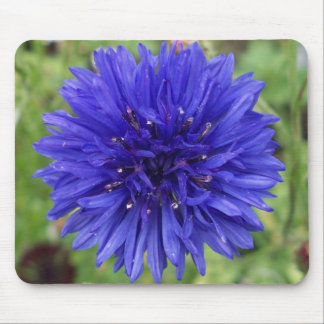 Cornflower Blue Boy Muismat