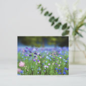 Cornflower Blue Briefkaart (Staand voorkant)