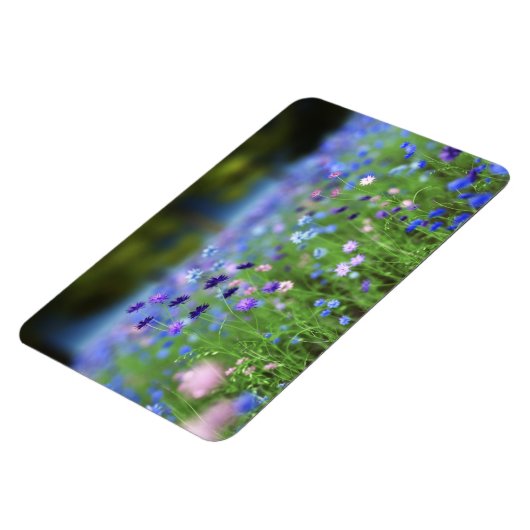 Cornflower Blue Flexible Magnet Magneet (Linkerzijde)