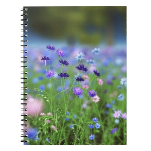 Cornflower Blue Notitieboek (Voorkant)