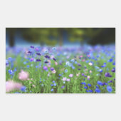 Cornflower Blue Stickers (Voorkant)
