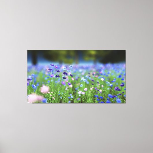 Cornflower Blue Wrapped Canvas Afdruk (Voorkant)