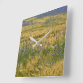Cornflower Field Vierkante Klok (Hoek)